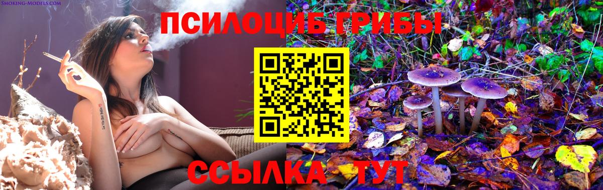 Псилоцибиновые грибы мицелий  Вход с VPN  где купить   Тихвин 